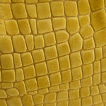 img_alt
